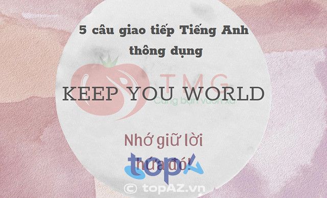 Language Center Haiphong Tomato tại Hải Phòng