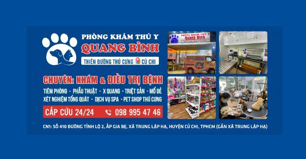 Phòng Khám Thú Y Quang Bình - Địa chỉ vàng cho thú cưng