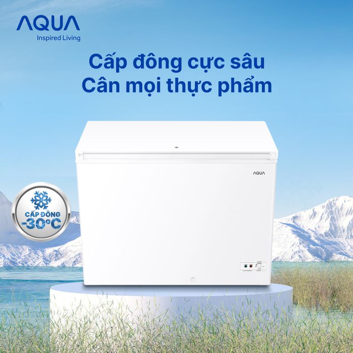 Hình ảnh tủ đông Aqua đời mới