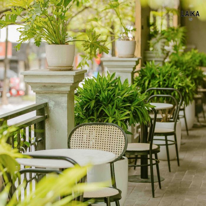 Không gian sống ảo tại Laika Cafe