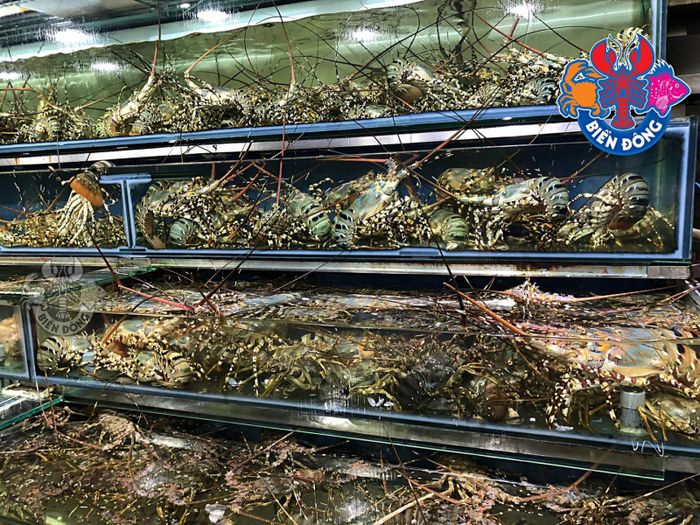 Hình ảnh 1 của Nhà Hàng Hải Sản Biển Đông