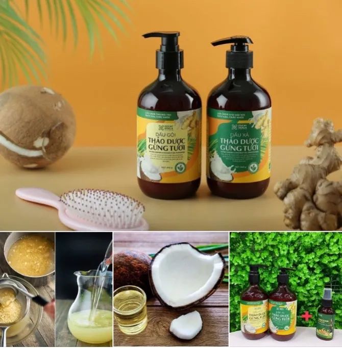 Dầu Gội Thảo Dược Gừng Dừa Cỏ Cây Hoa Lá - Hình 1