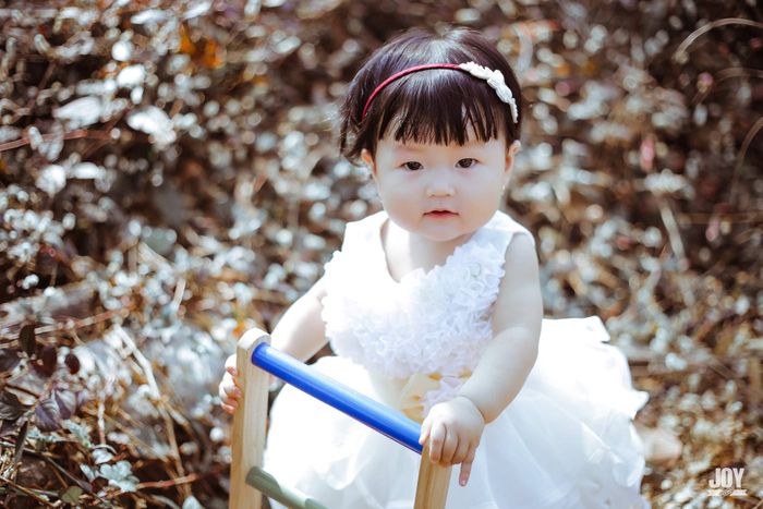 Ảnh của JOY Studio