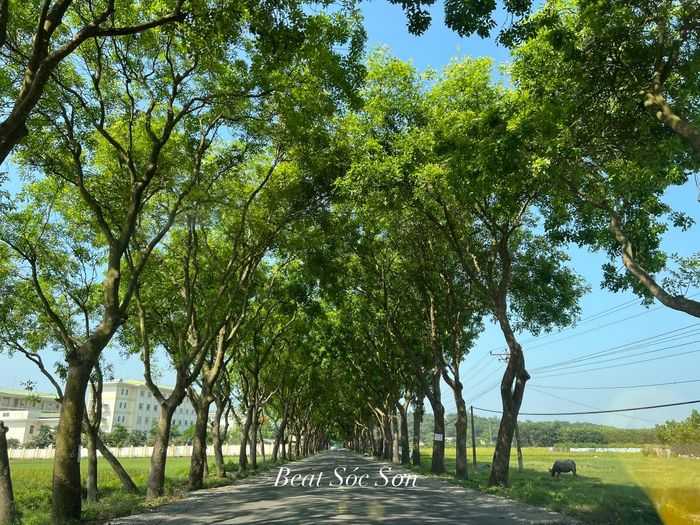 Con đường ra khu CN Nội Bài hình 1