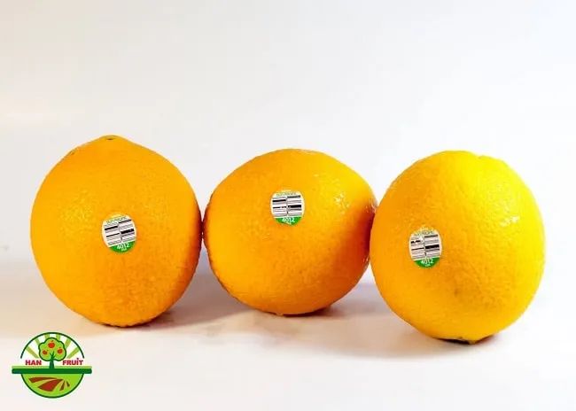 Han Fruit - Một trong 9 thiên đường trái cây nhập khẩu cao cấp đáng trải nghiệm nhất Sài Gòn