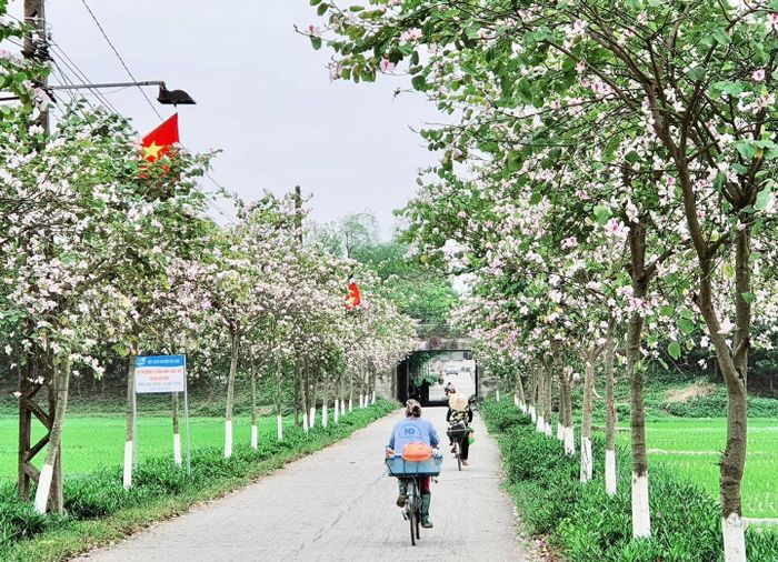 Con đường từ UB xã Phú Cường về thôn Thụy Hương hình 1