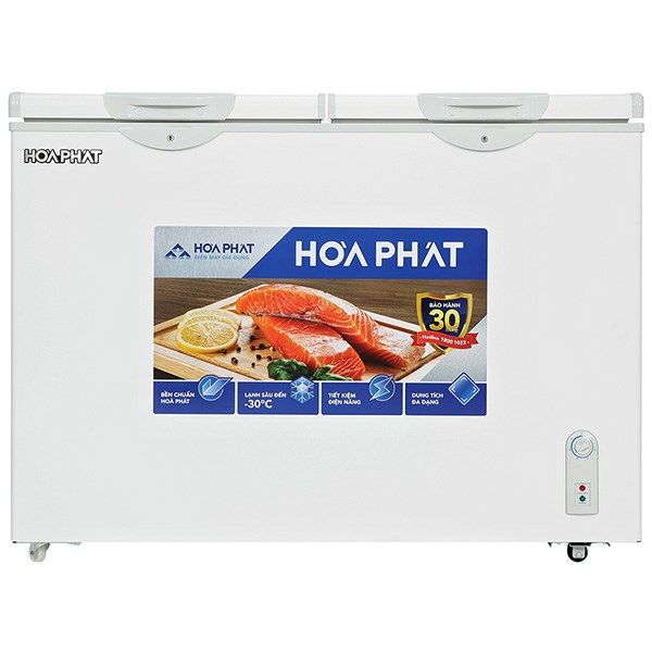 Hình ảnh tủ đông Hòa Phát - Thiết kế sang trọng, công nghệ tiên tiến