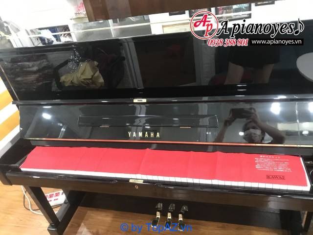Apianoyes - Thương hiệu piano Nhật Bản đẳng cấp