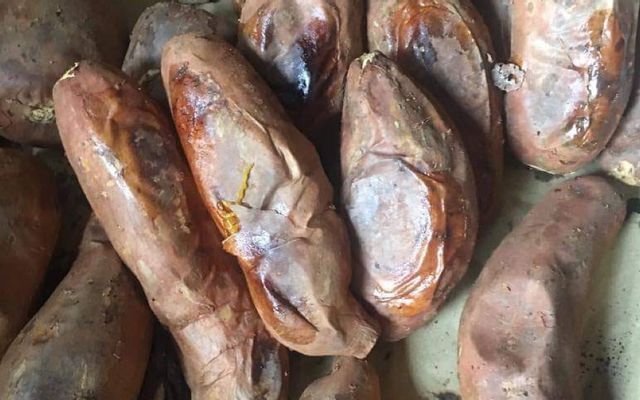 Khoai mật nướng Đà Lạt thơm lừng khói than