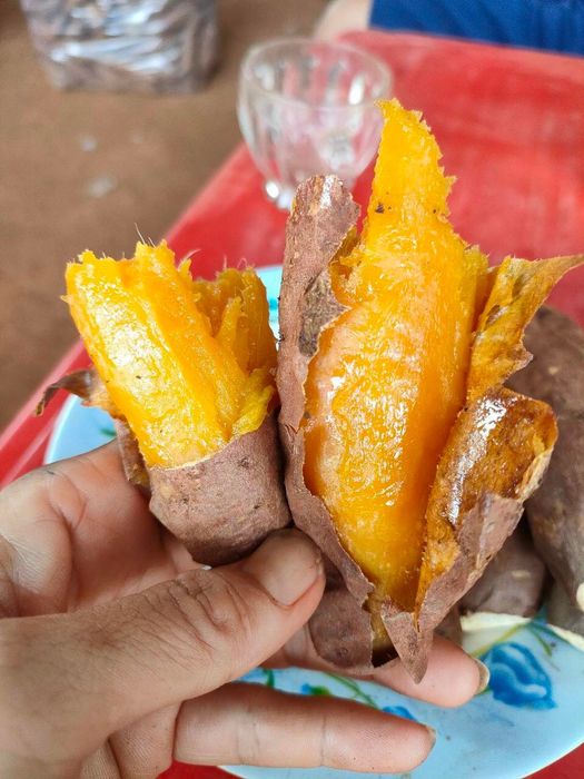 Khoai lang mật chảy vàng quyến rũ