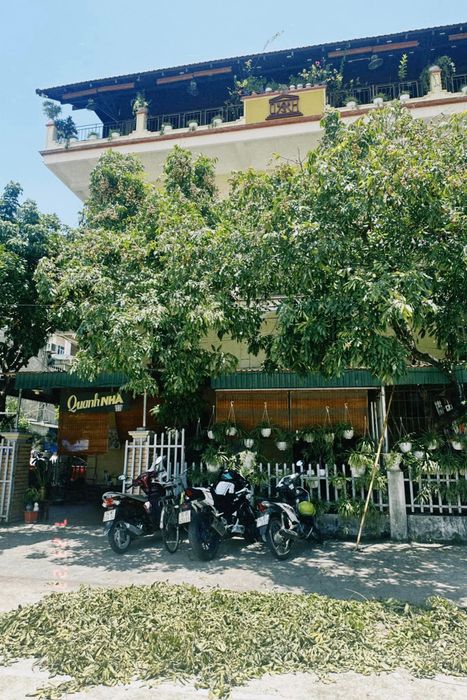 Khung cảnh xanh tươi tại Quanh Nhà