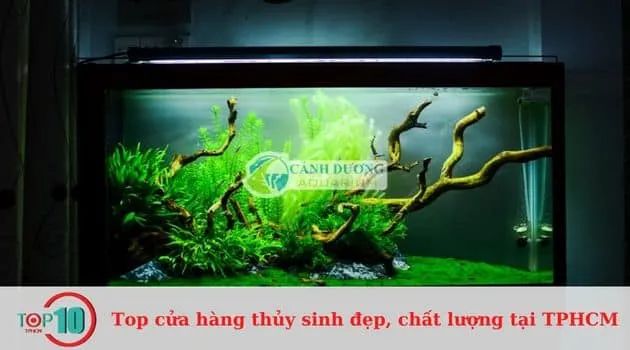 Cửa hàng Cảnh Dương