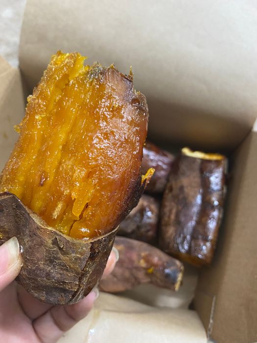 Khoai nướng chín mật, tỏa hương ngào ngạt