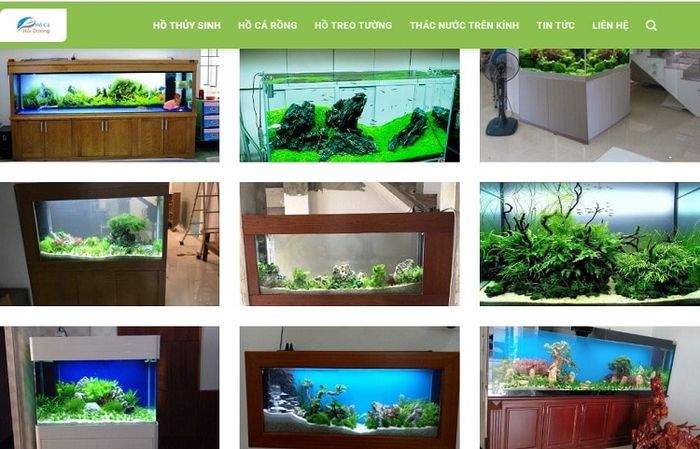 Địa chỉ uy tín bán bể cá cảnh giá rẻ chất lượng nhất tại TPHCM
