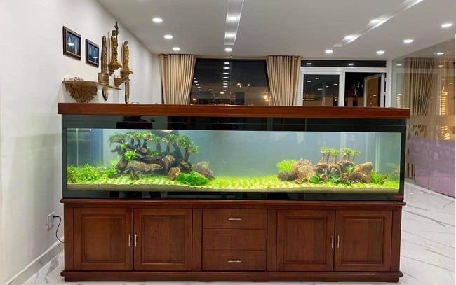 Bể cá cảnh TPHCM - Hồ cá Thủy Sinh Cát Tường