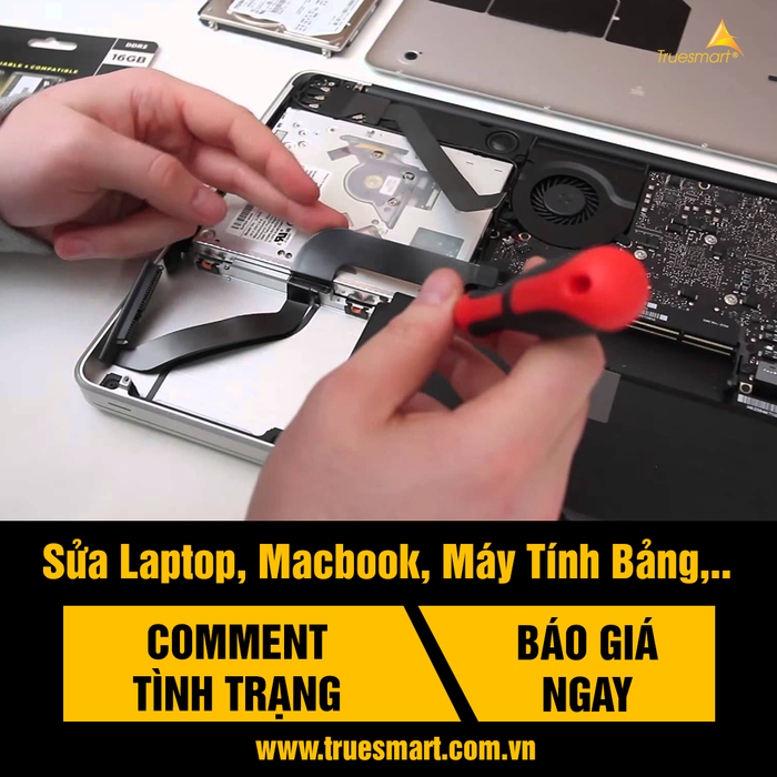 Không gian làm việc chuyên nghiệp tại True Smart