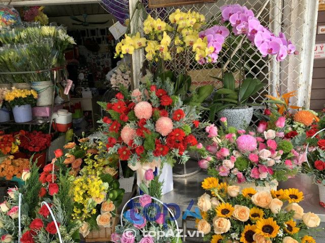 Sắc Màu - Thiên đường hoa tươi Mỹ Tho