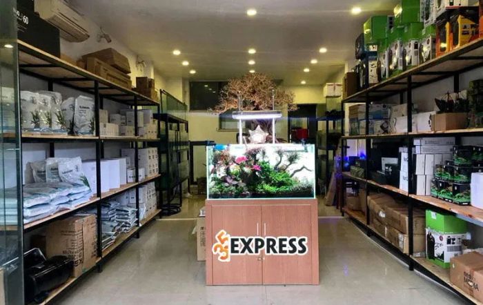 review-ca-canh-phuc-long-35express