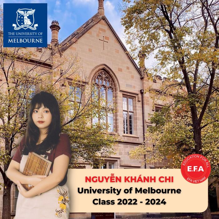 Hình ảnh hoạt động tư vấn của EFA Vietnam