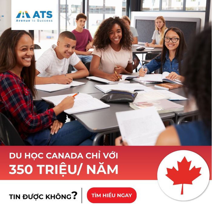 Hình ảnh hoạt động tư vấn tại ATS