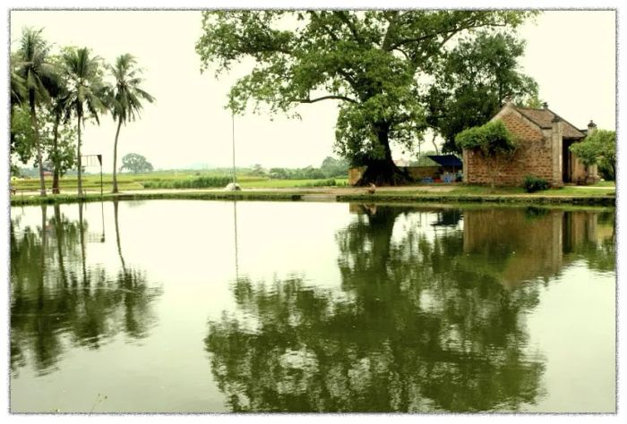 Tranh minh họa đặc sắc (Nguồn: internet)