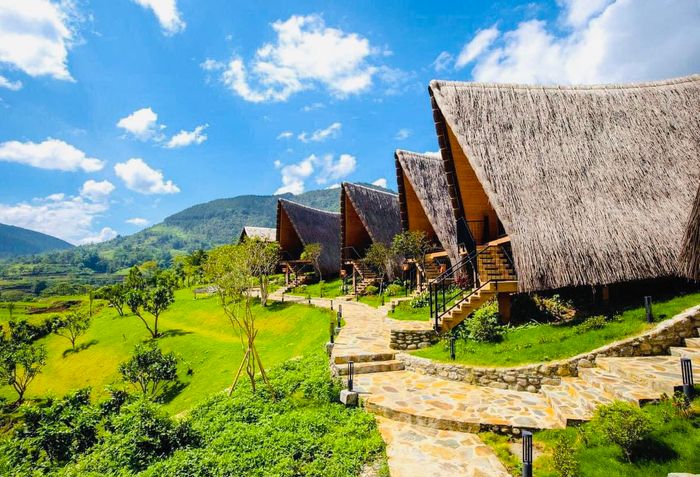 Booking Travel - Hình ảnh 2
