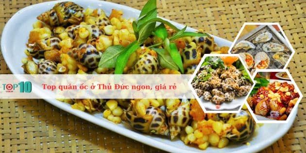 Tuyển tập những quán ốc nổi tiếng nhất Thủ Đức - hương vị đỉnh cao, giá thành phải chăng