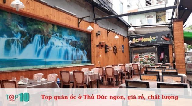 Quán Hải Sản Ốc Nhảy - Địa chỉ tin cậy cho tín đồ ốc sành điệu