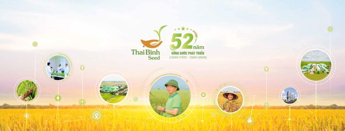 Thái Bình Seed ảnh 1