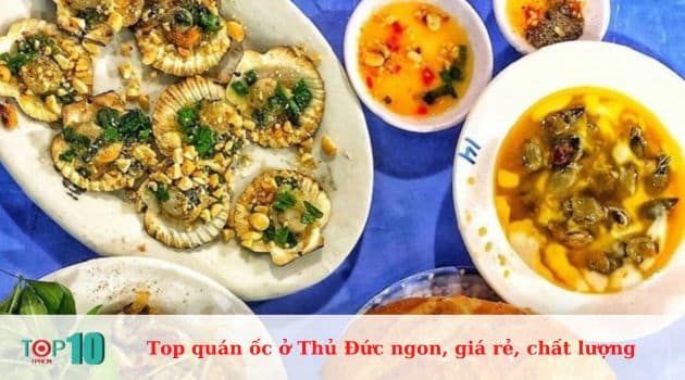 Quán Ốc Chíp - Điểm hẹn lý tưởng cho tín đồ ốc sành điệu
