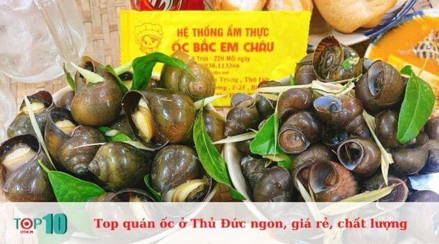 Ốc Bắc Em Châu - Nét Bắc giữa lòng phương Nam