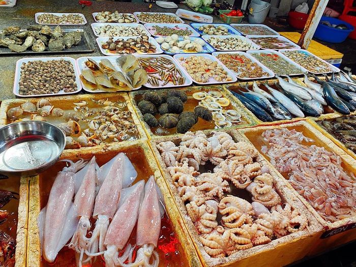 Chợ Cá Cảng Hải Long - Hình Ảnh 2
