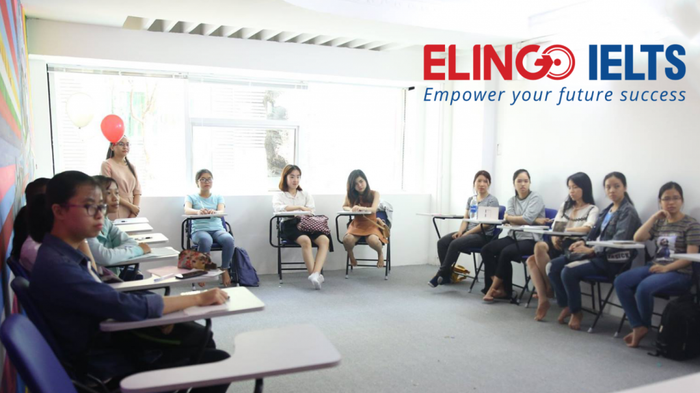 Elingo Hà Nội