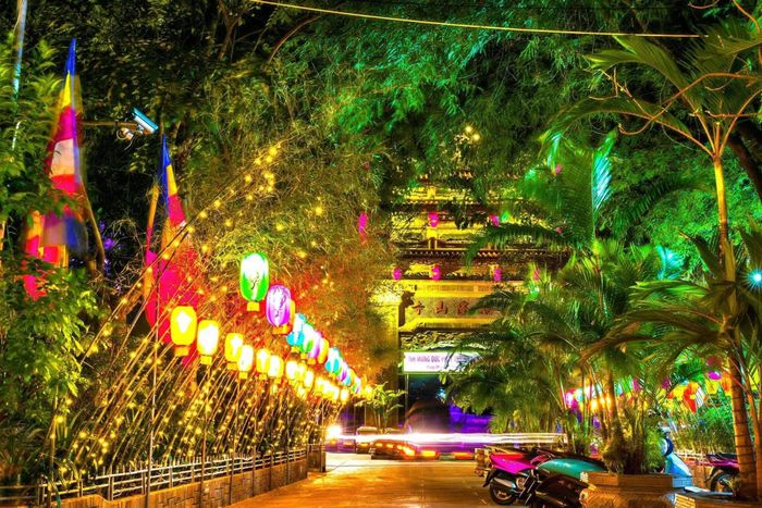 Hình ảnh Công ty TNHH Du lịch Nha Trang Trẻ (Nha Trang Trẻ Travel) - Ảnh 1