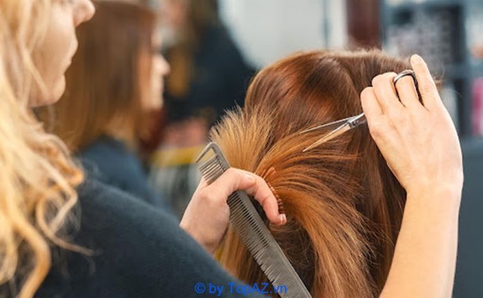 đào tạo nghề tóc chuyên nghiệp tại TP.HCM