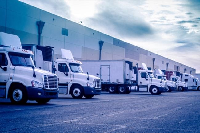 Vinalink - Đối tác xuất nhập khẩu chuyên nghiệp tại TP.HCM