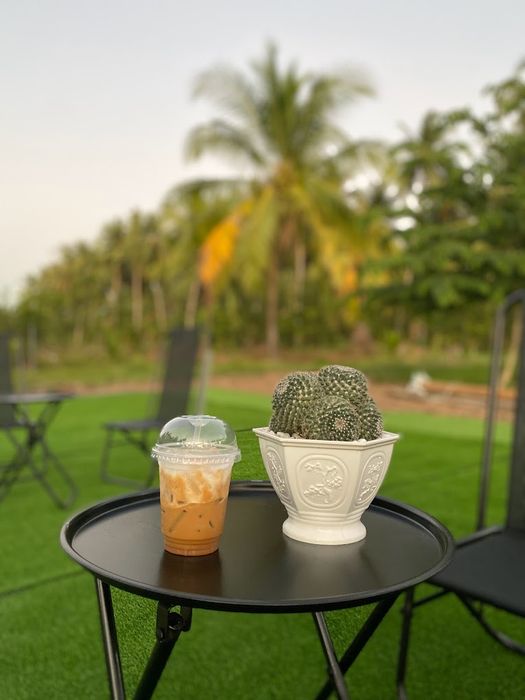 Quán phục vụ cà phê tại quán ảnh 2