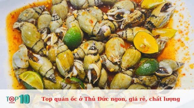 Ốc Nhớ Sài Gòn - Điểm hẹn ẩm thực đậm chất Sài Thành