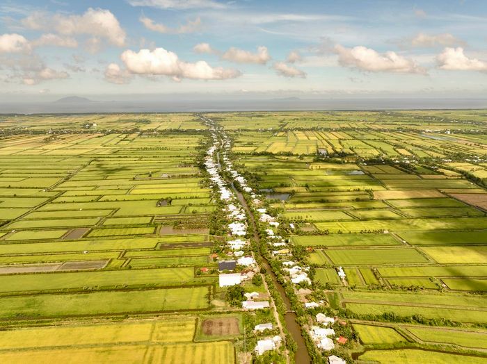 Gạo Ông Cua ảnh 1