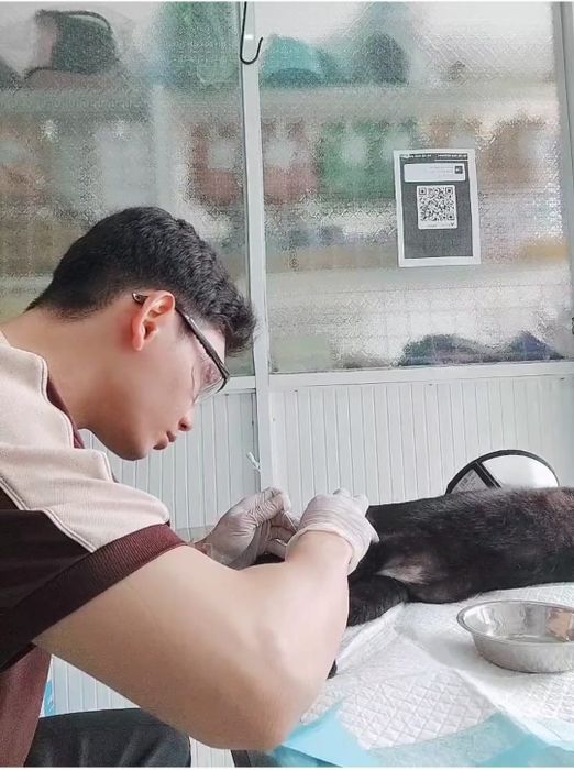 Hình ảnh Thú Y Nguyễn Minh Bến Tre 2