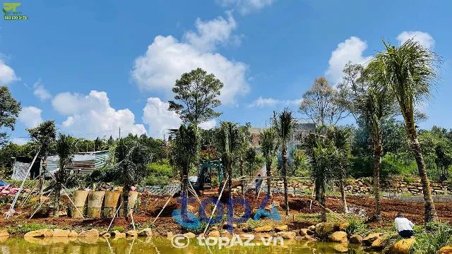 Đơn vị chuyên cung cấp dịch vụ cây xanh chuyên nghiệp tại TP.HCM