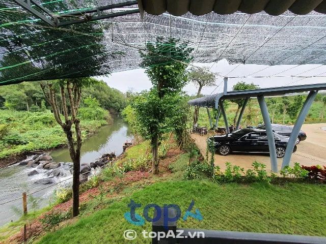 Công ty cây xanh uy tín hàng đầu tại TPHCM