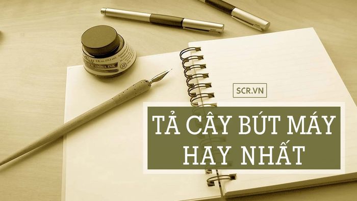 Hình ảnh minh họa: Chiếc bút máy thanh lịch (Nguồn: internet)