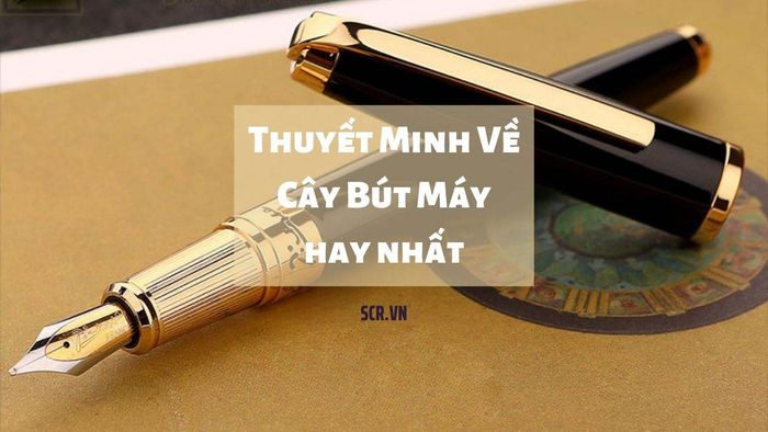 Bộ sưu tập ảnh minh họa: Nét đẹp vượt thời gian của bút máy (Nguồn: internet)