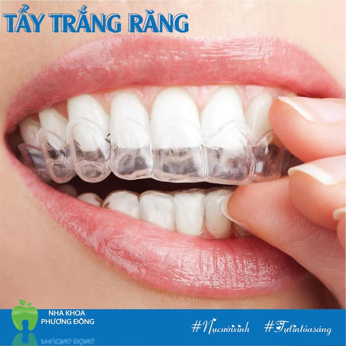 Không gian hiện đại tại Nha Khoa Phương Đông