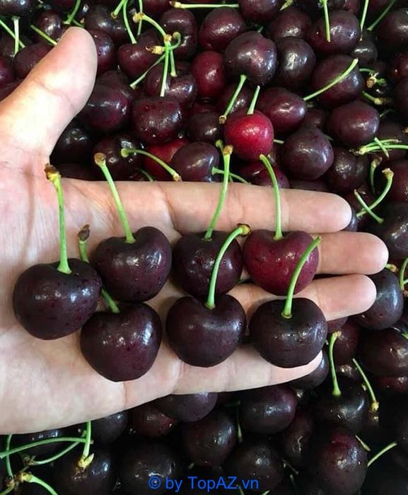 Minh Kiệt Food - Đẳng cấp thực phẩm sạch