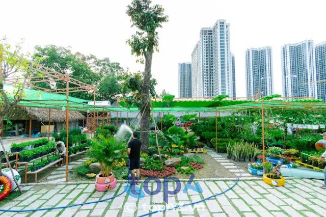 thi công cảnh quan tại TPHCM