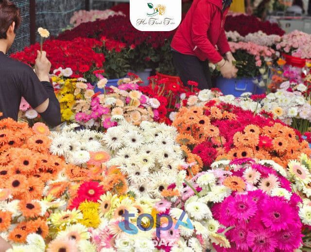 Kho hoa tươi Thanh Tước - Nguồn cung ứng đa dạng bậc nhất