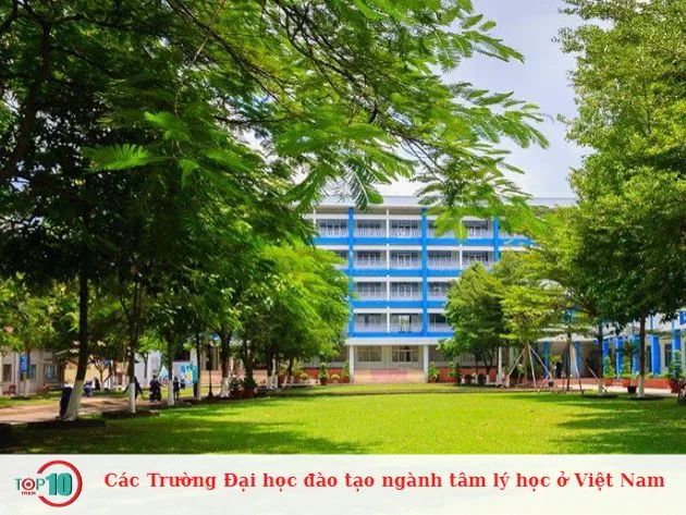 Hệ thống các trường Đại học đào tạo Tâm lý học uy tín tại Việt Nam