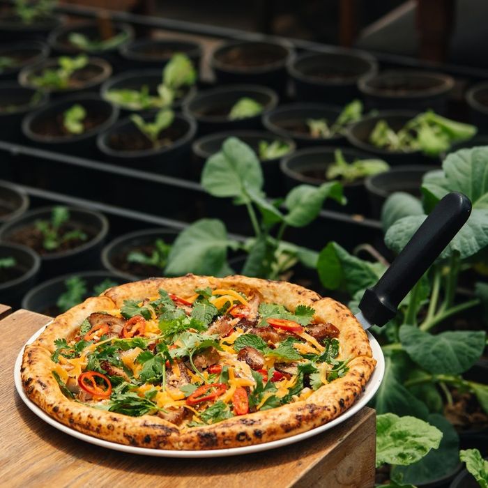 Không gian ấn tượng tại Pizza 4P’s - nơi kiến trúc hiện đại hòa quyện với nét tinh tế Nhật Bản